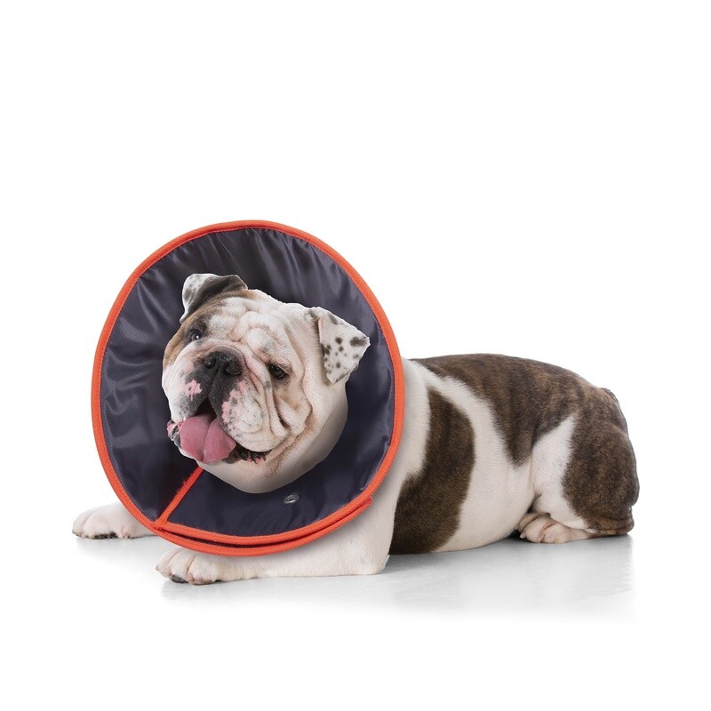 Comfy Recovery Vet Collar