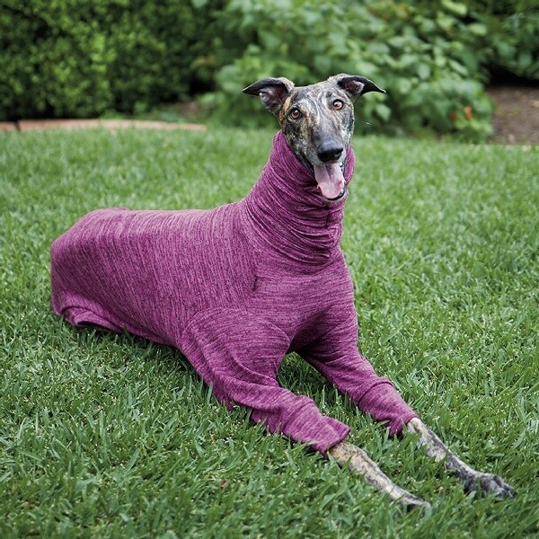 Greyhound Softie Mulberry