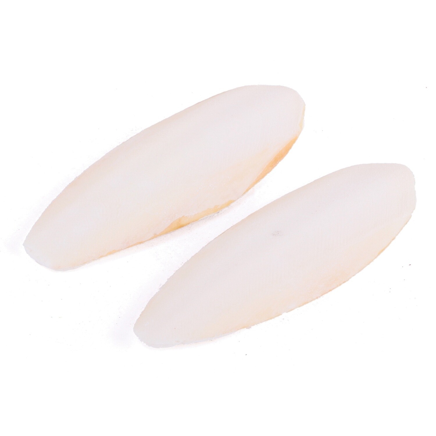 Cuttlebone Natural - 2pk