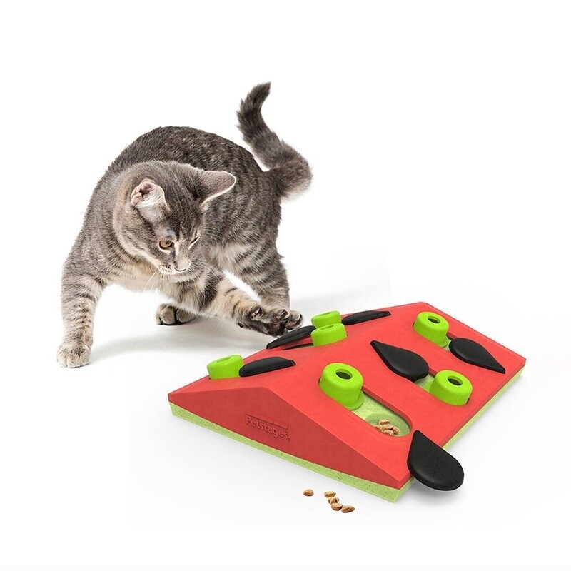 Puzzle &amp; Play Melon Madness