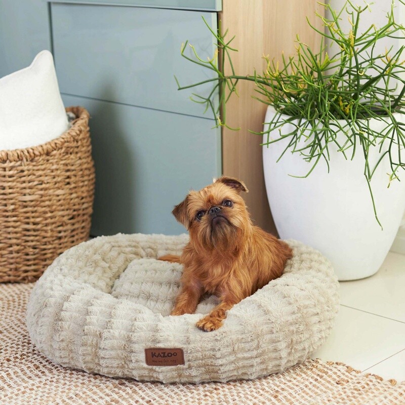 Loop Dog Bed - Clay