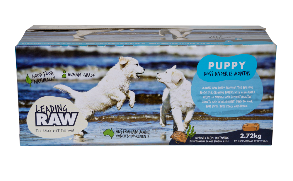Leading Raw Puppy