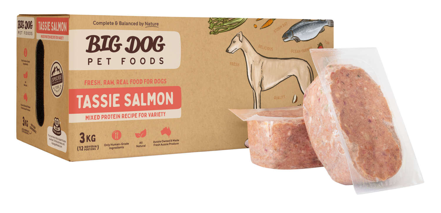 Big Dog Tasmanian Salmon BARF for Dogs