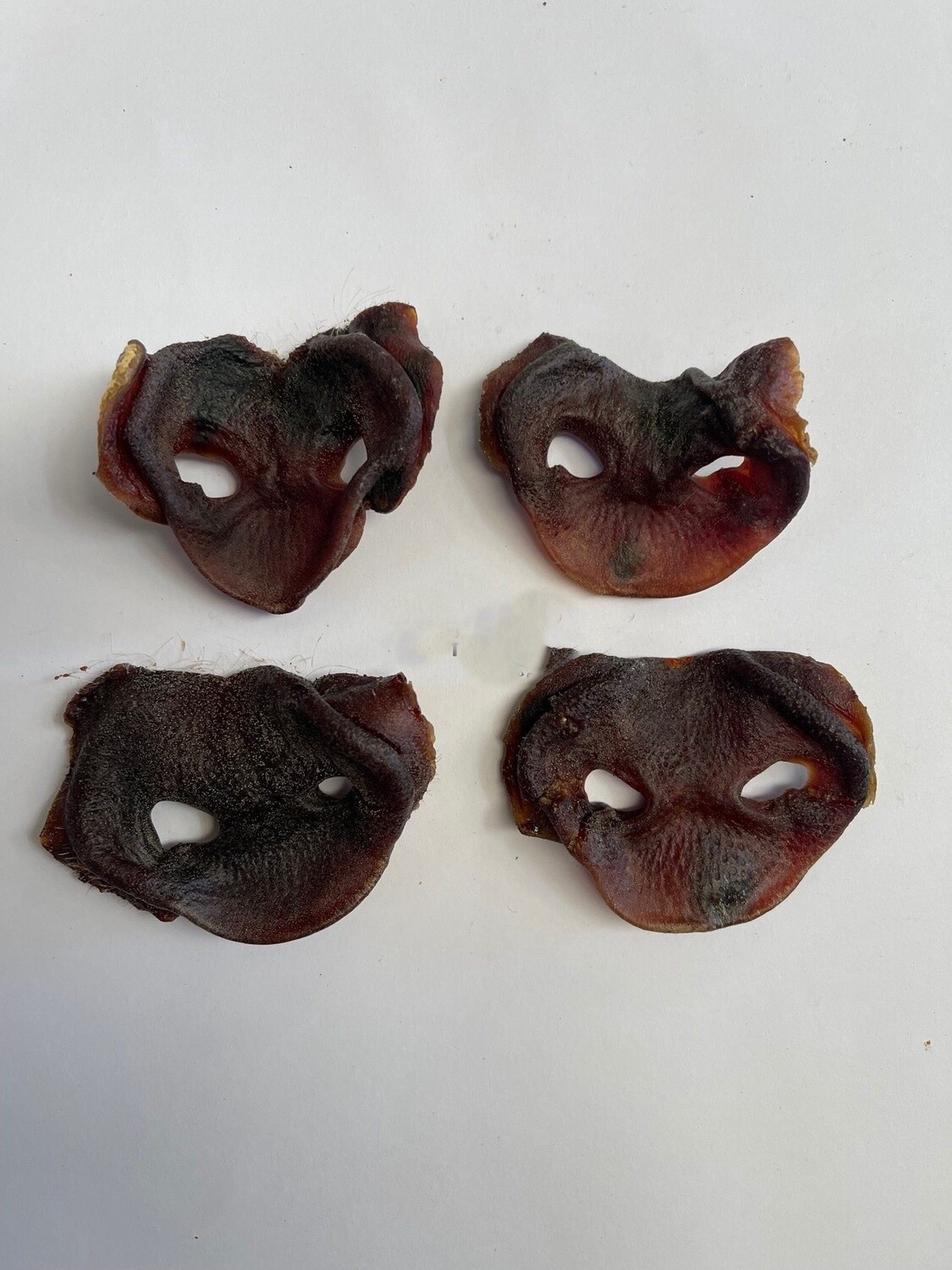 Pork Snouts, Size: Single