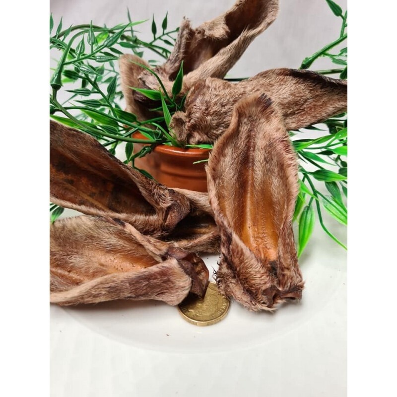 Woolly Lamb Ears, Size: Single