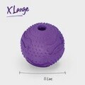 Hide N' Treat Ball