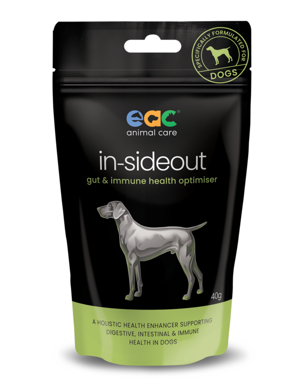 In-Sideout Dog Formula - Pre &amp; Probiotic  Supplement