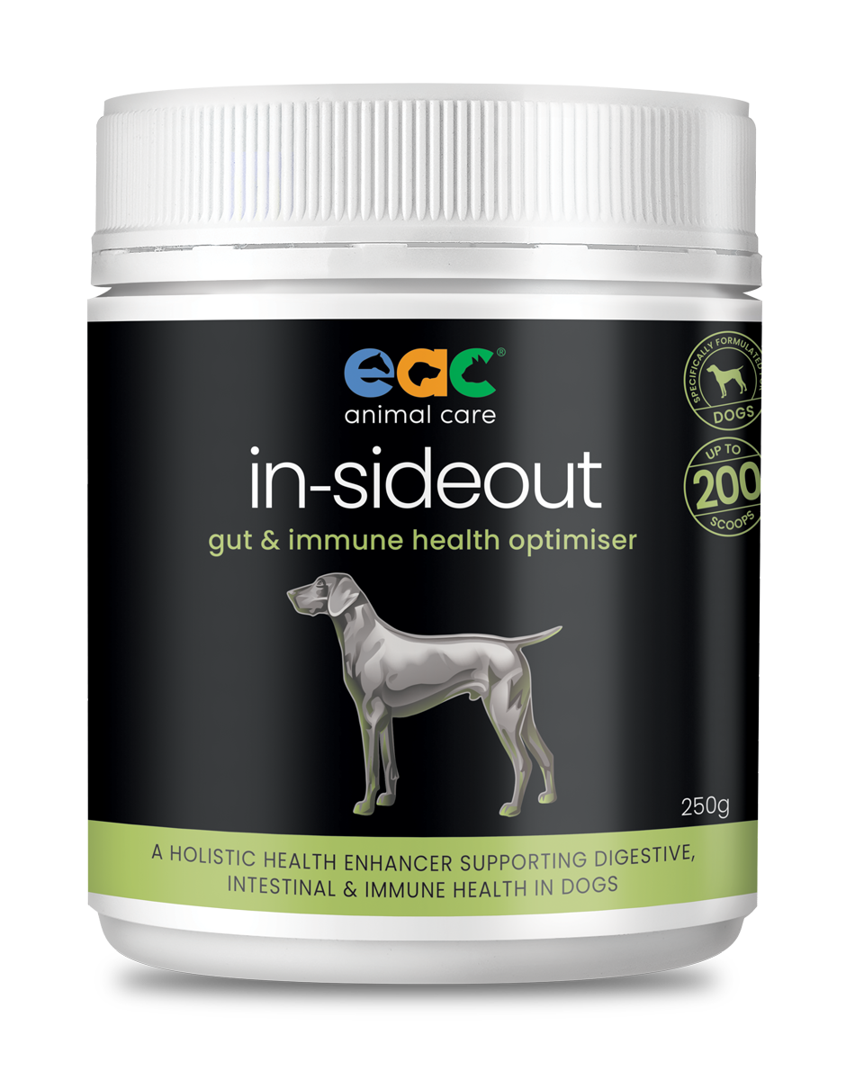 In-Sideout Dog Formula - Pre &amp; Probiotic  Supplement, Size: 250g