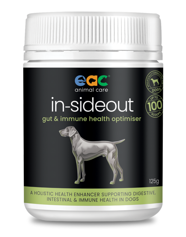 In-Sideout Dog Formula - Pre &amp; Probiotic  Supplement