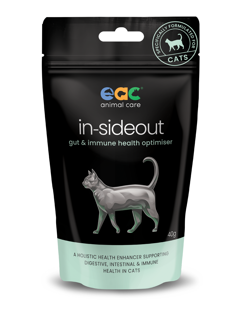 In-sideout Cat Formula - Pre &amp; Probiotic, Size: 40gm