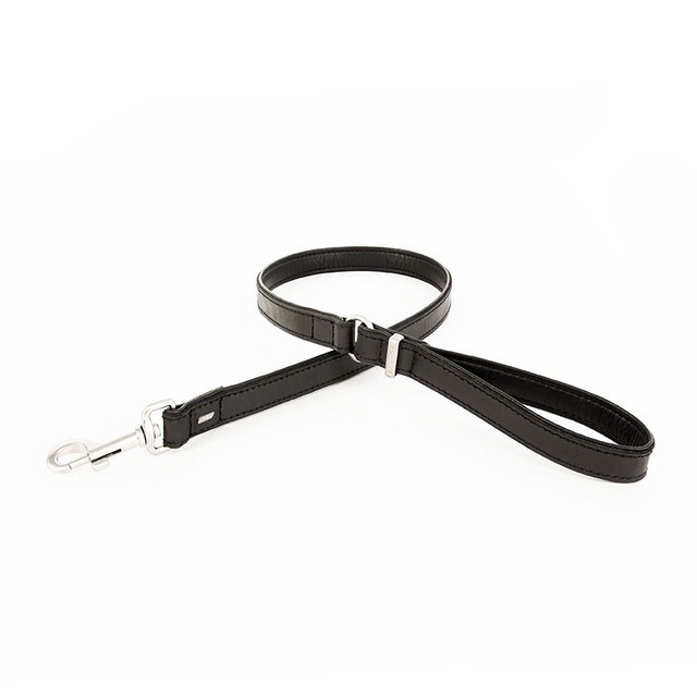 Ezy Dog Oxford Leash