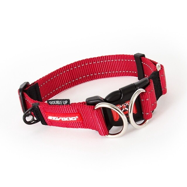 Ezy Dog Double up collar, Size: Small, Colour: Red