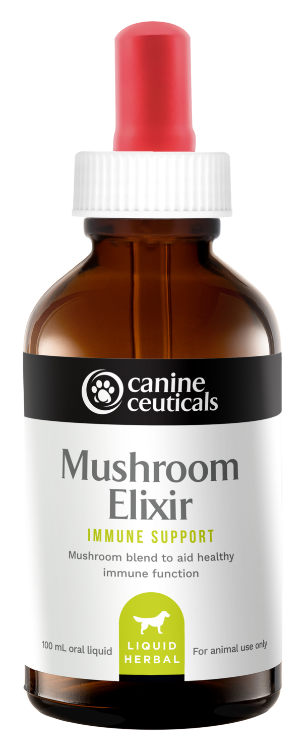 Canine Ceuticals Mushroom Elixir -100ml