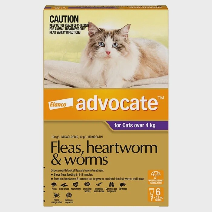 Fleas, heartworm &amp; worm spot on Cats over 4kg, Size: 6 pack
