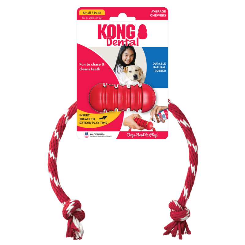 KONG Dental with Rope