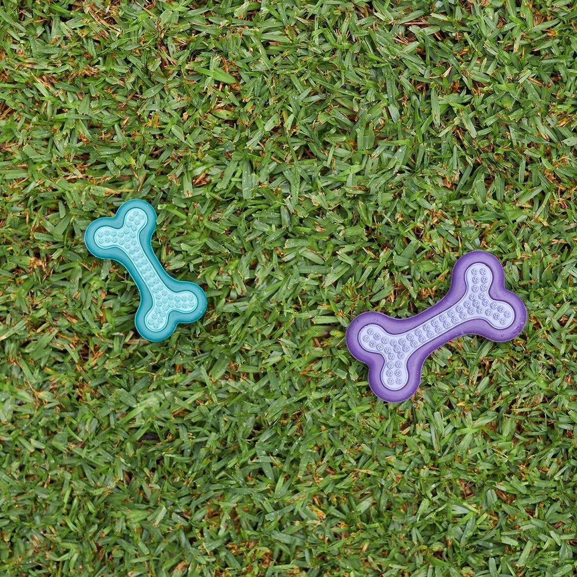 Puppy Teether, Size: Small