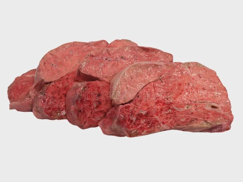 Raw Lamb Lung