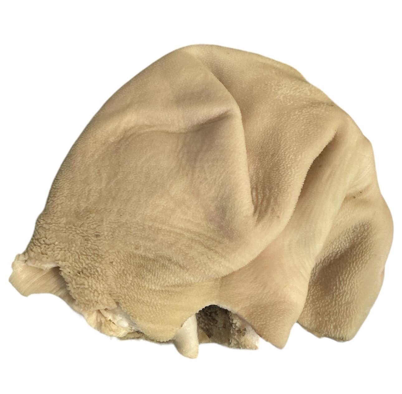 Lamb Tripe - Scalded - per kilo