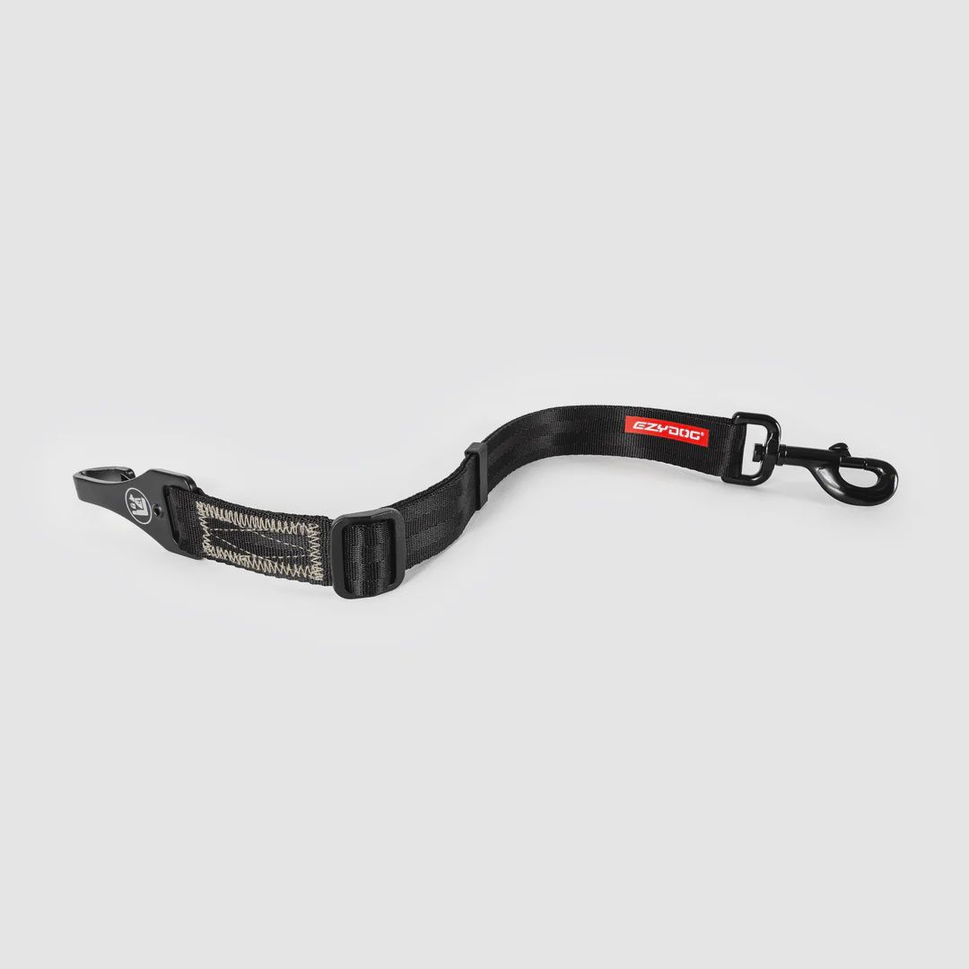 Ezydog ISOFIX Standard Car Restraint
