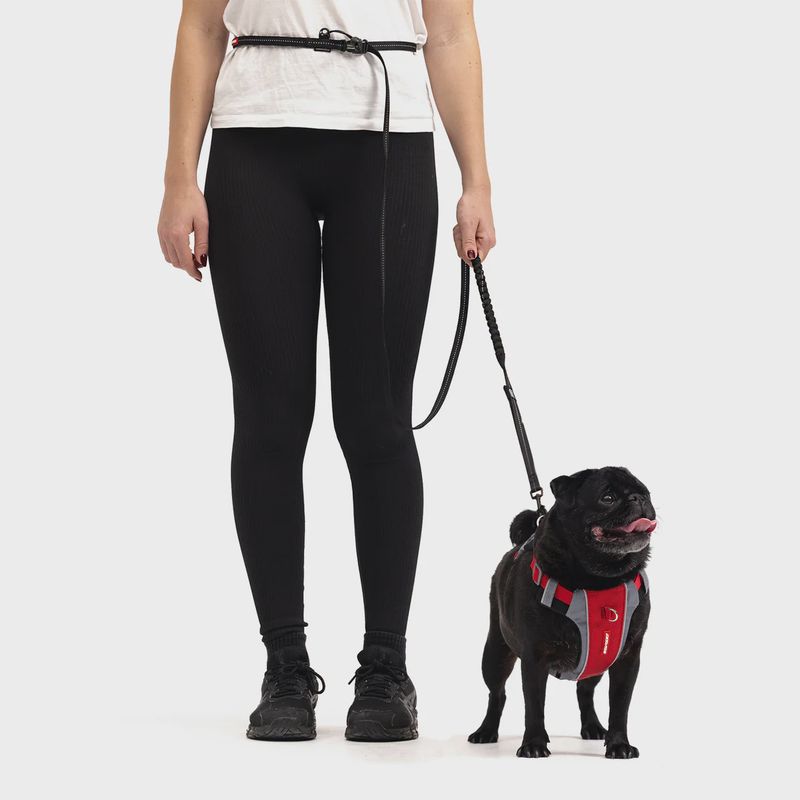 EzyDog Leash Road Runner LITE 12