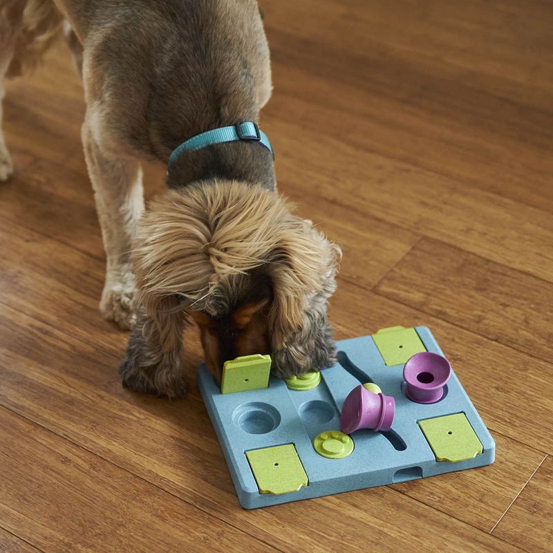 Rectangle Rumble Interactive Puzzle Play