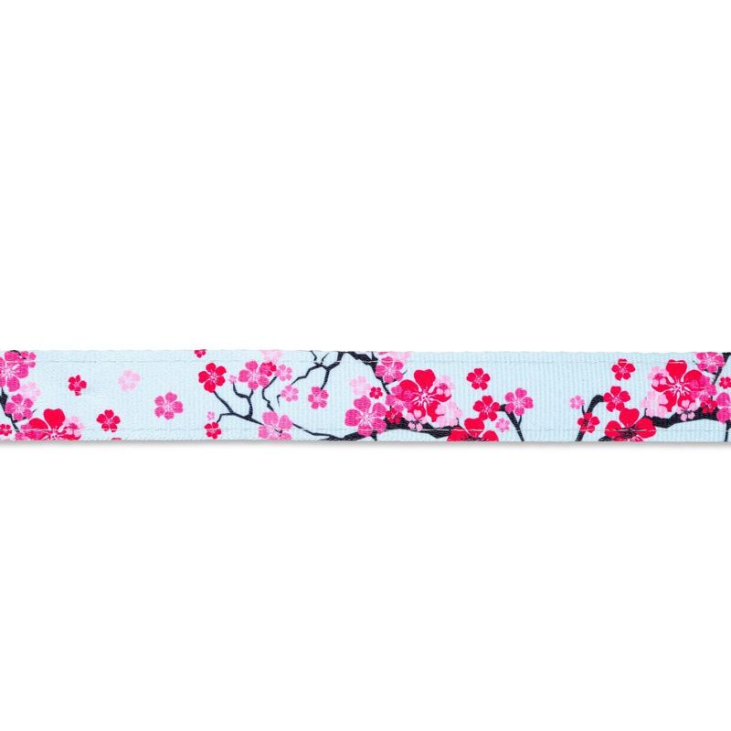 Max &amp; Molly Smart ID Collar