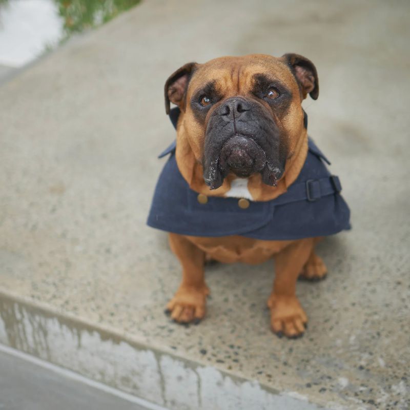 Aussie Oil Skin Coat Navy