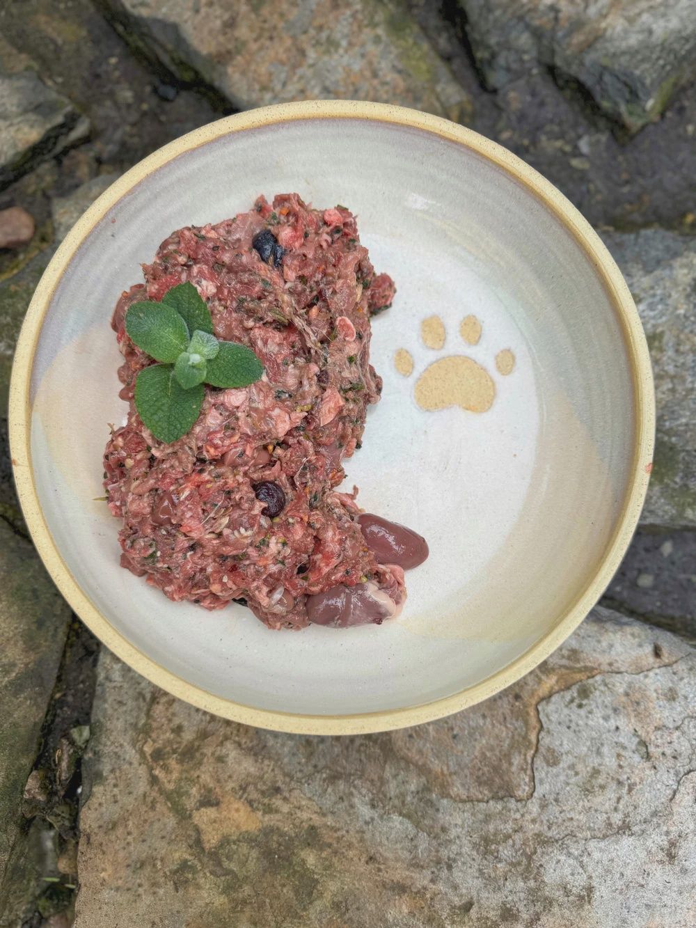 Healthy Paws Nutrition - Beefy Mix