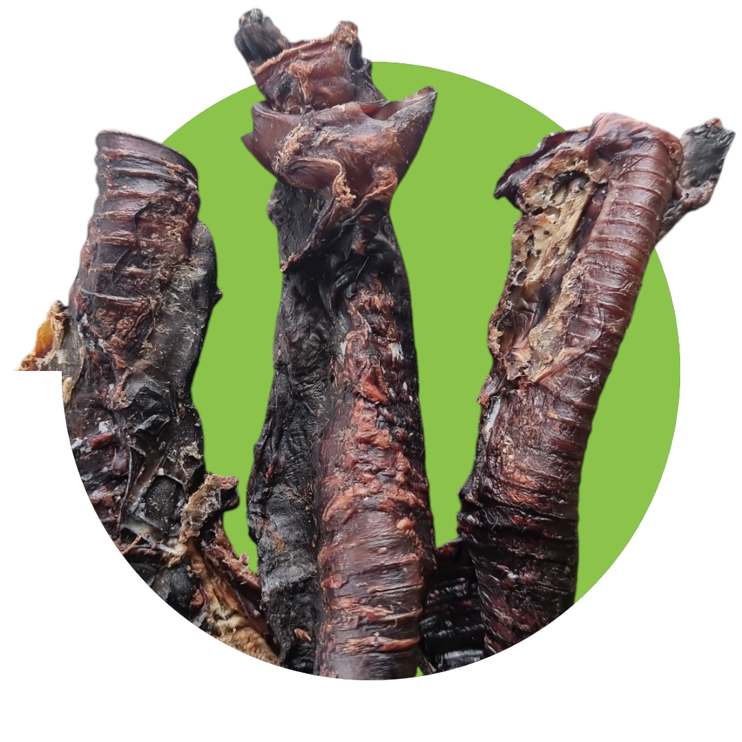 Roo Trachea