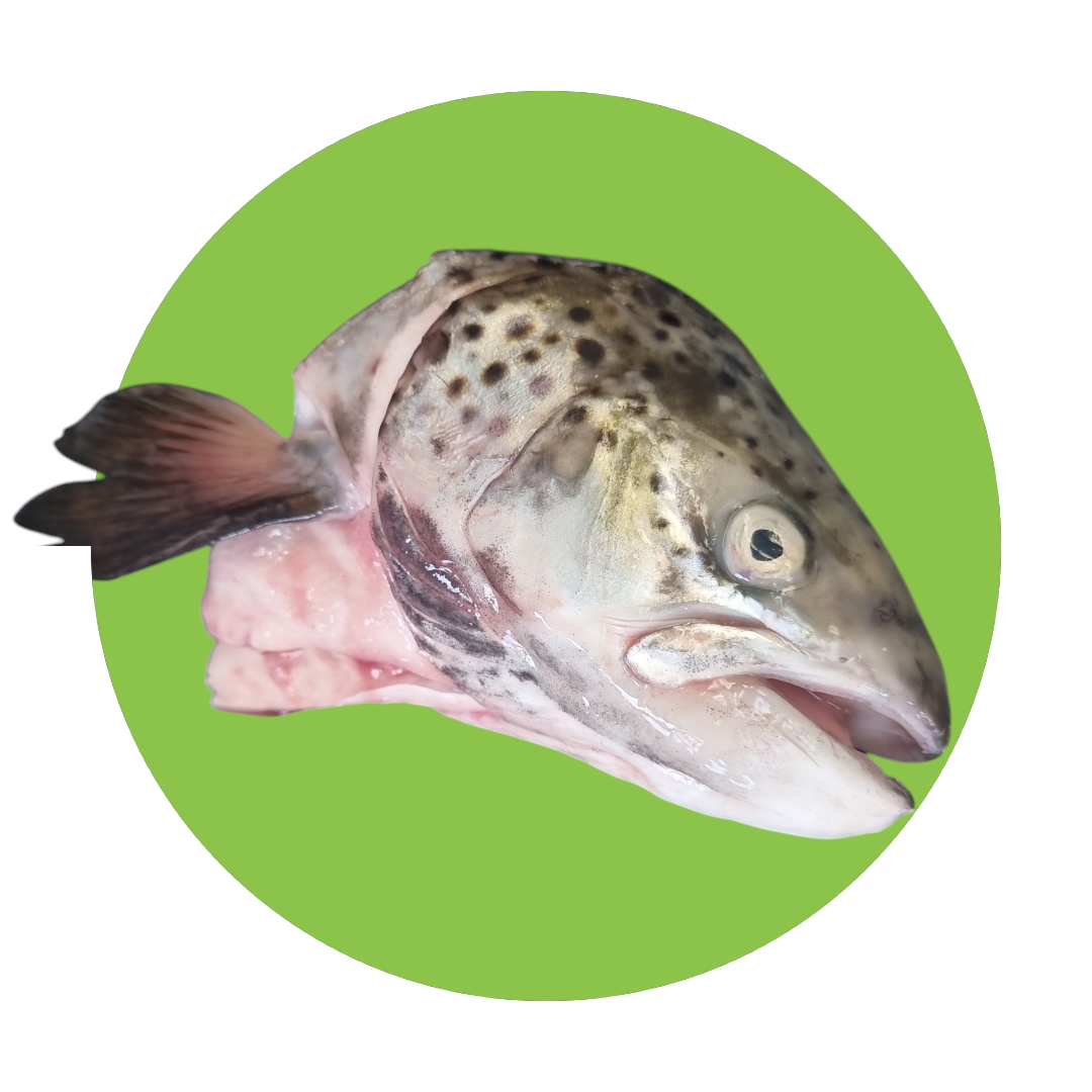 Salmon Heads - ea