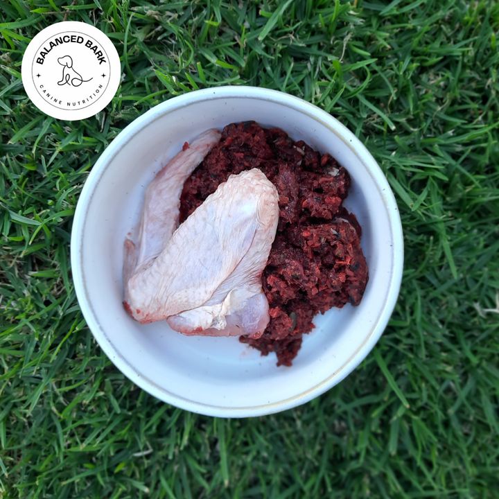 Balanced Bark Kangaroo &amp; Duck Complete Meal
