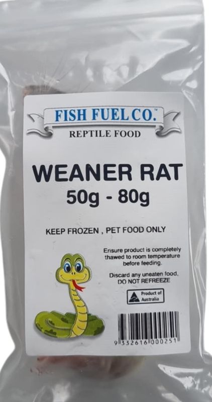Frozen Rats