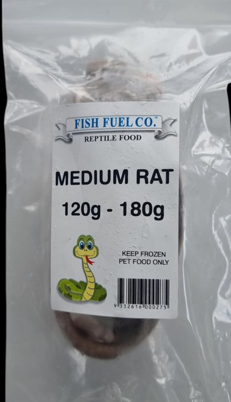 Frozen Rats