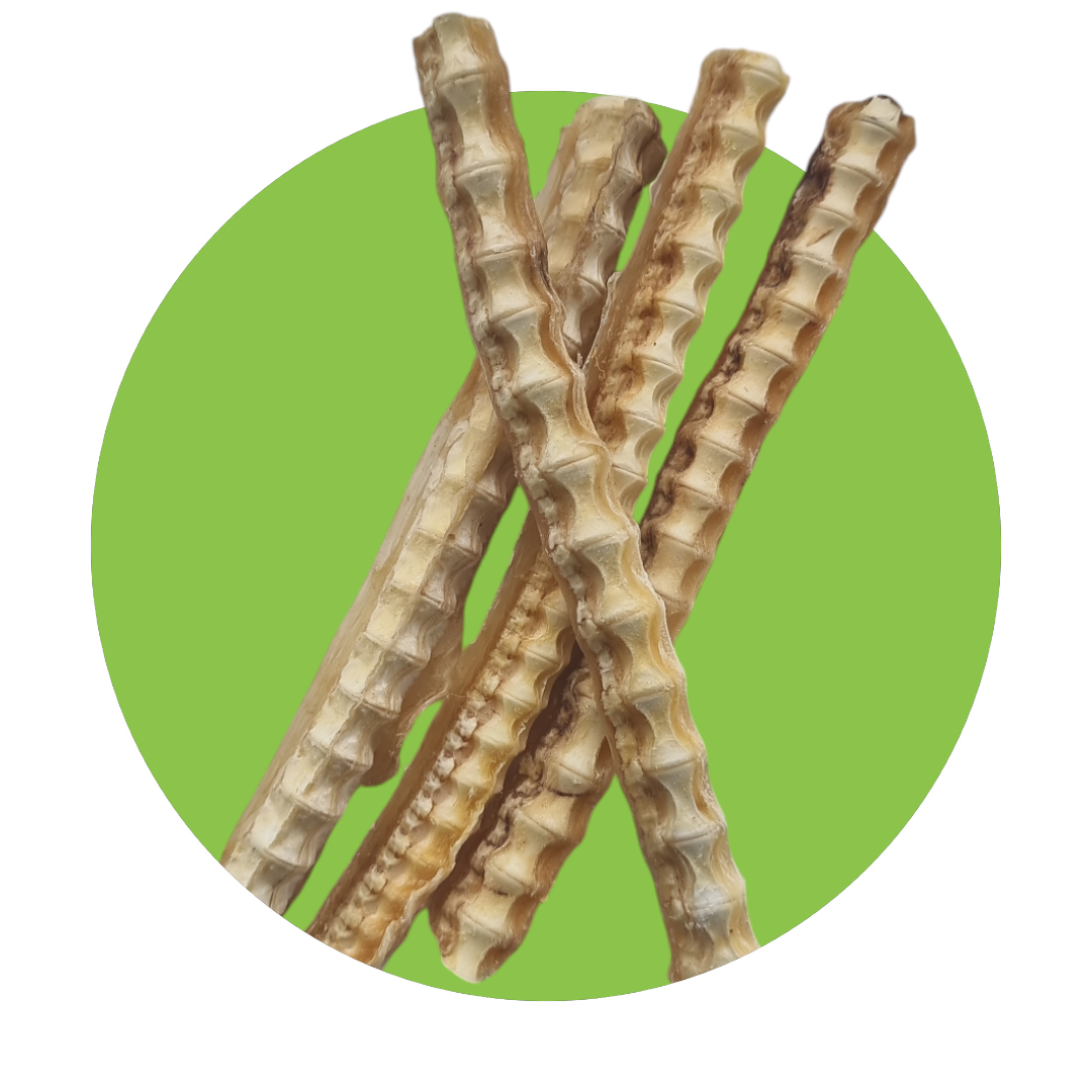 Shark Cartilage, Size: Single, Product: Small