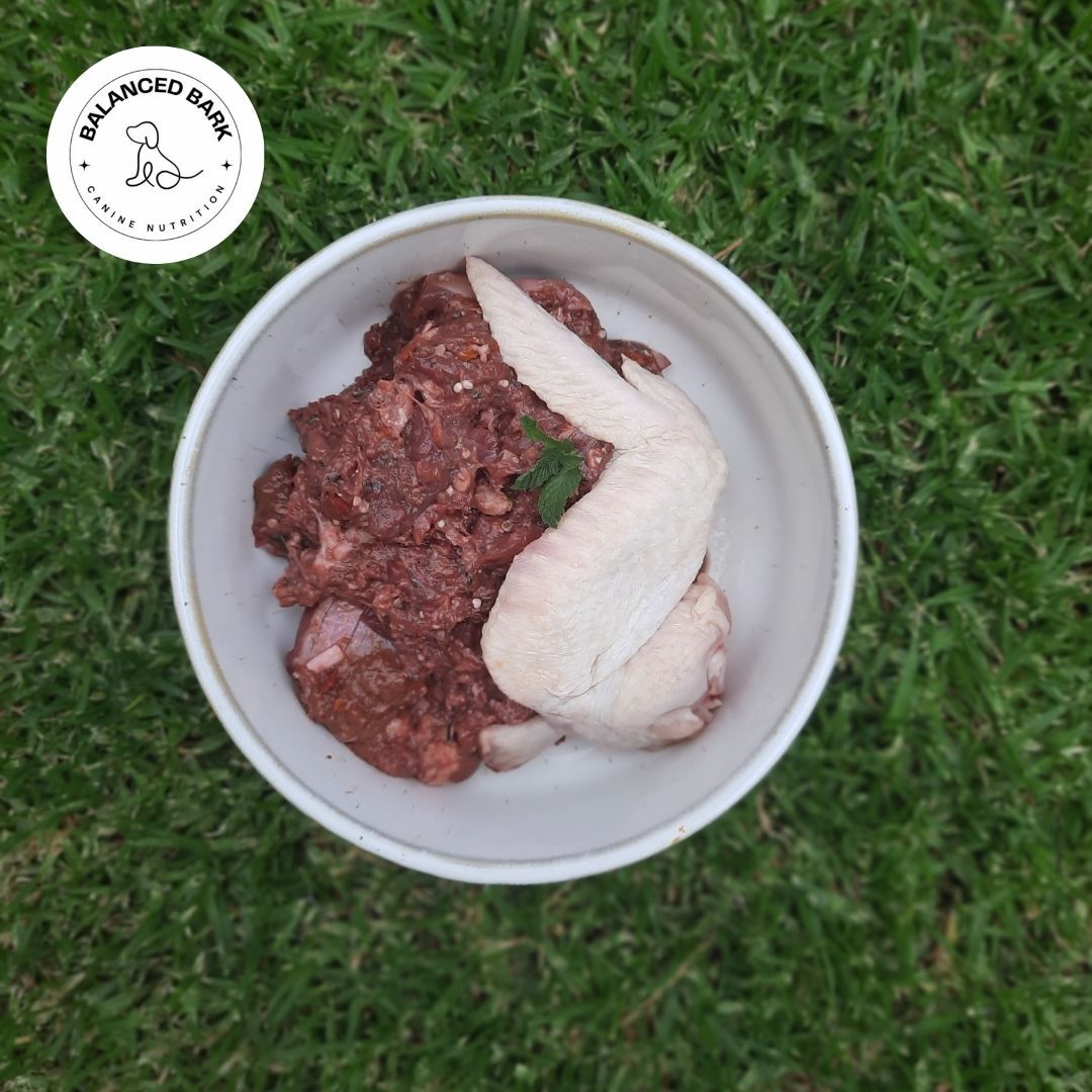 Balanced Bark Beef &amp; Chicken Puppy Complete Meal