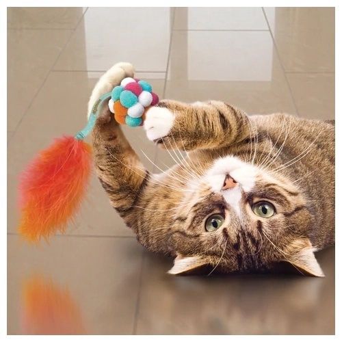 KONG Cat Active Bubble Ball Teaser
