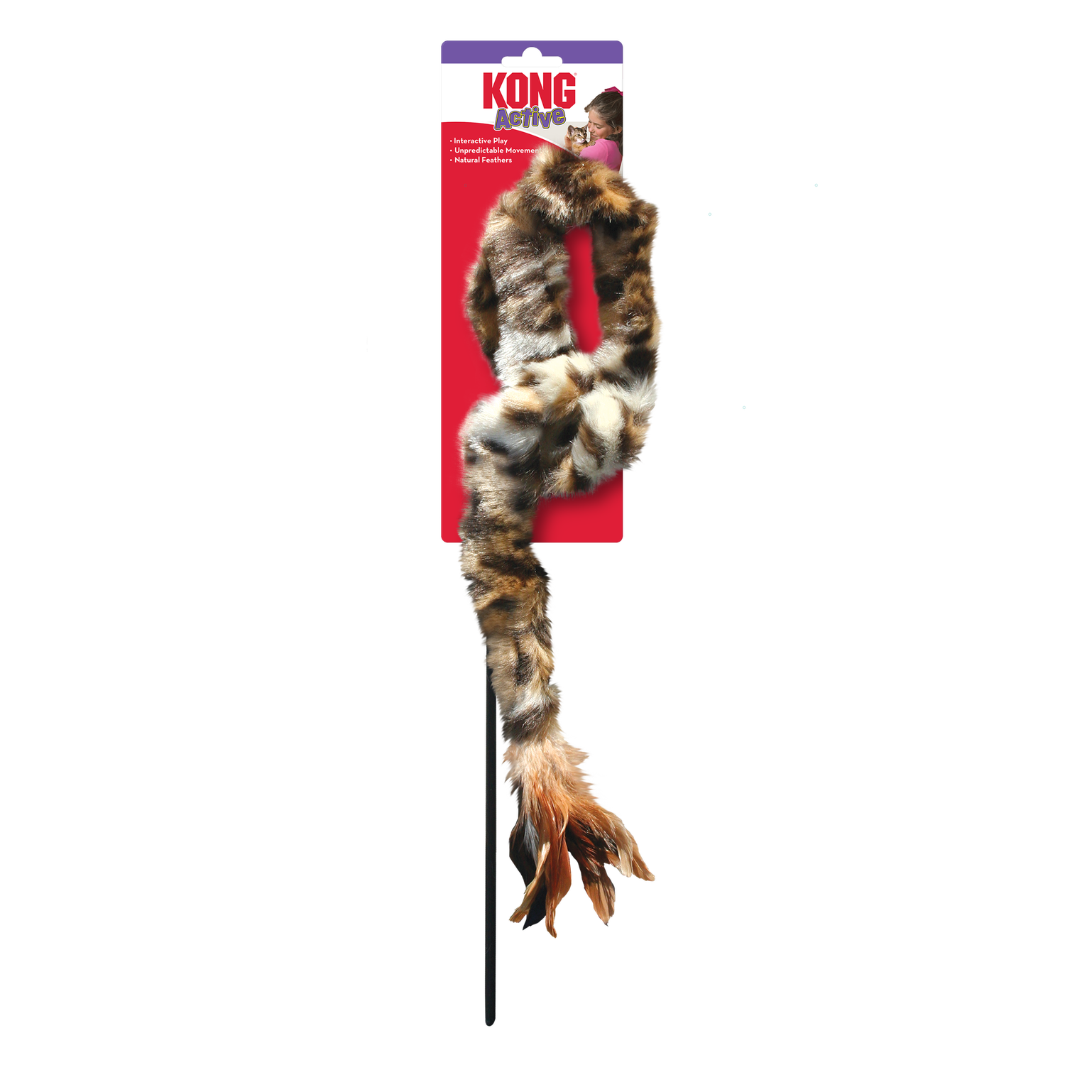 KONG Swizzle Bird Teaser
