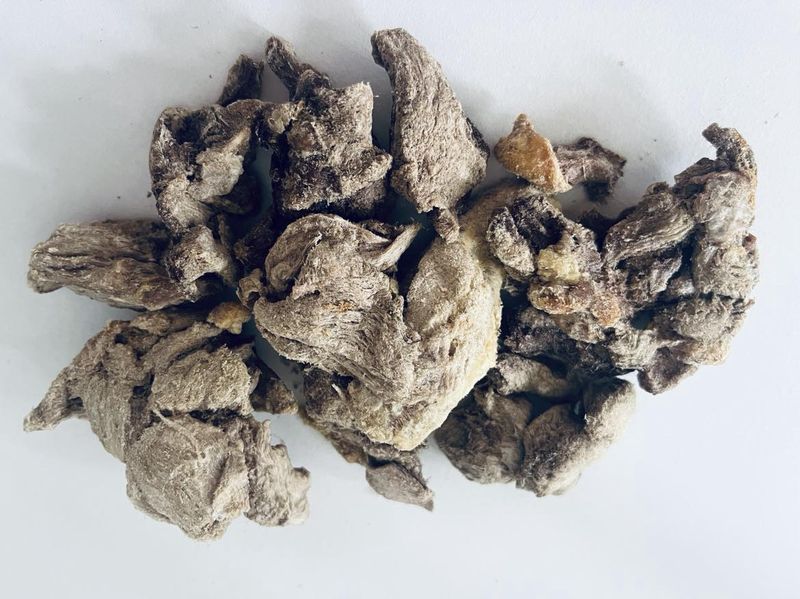 SNAX for Dogs Wild Boar