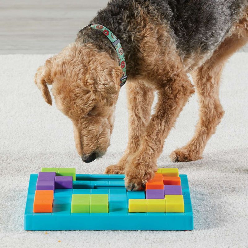 Brightkins Brain Teaser Interactive Dog Treat &amp; Food Puzzle