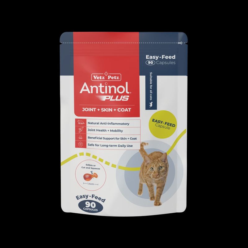 Antinol for Cats