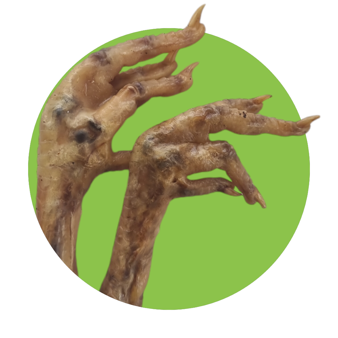 Chicken Feet, Size: Single