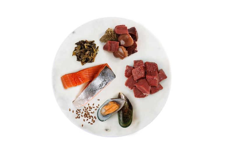 Feline Natural Lamb &amp; Salmon Feast 170g can - Cat