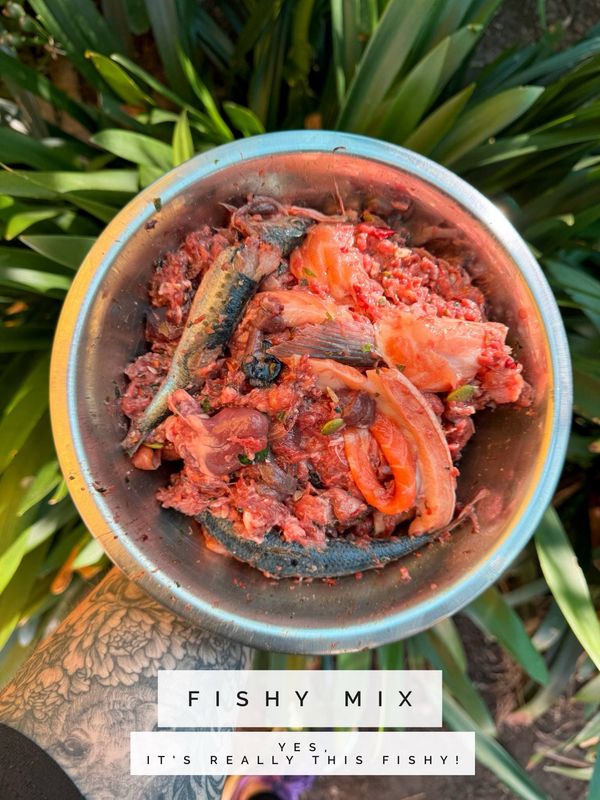 Healthy Paws Raw Nutrition - Fishy Mix