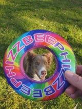 Puppington Phizzbee