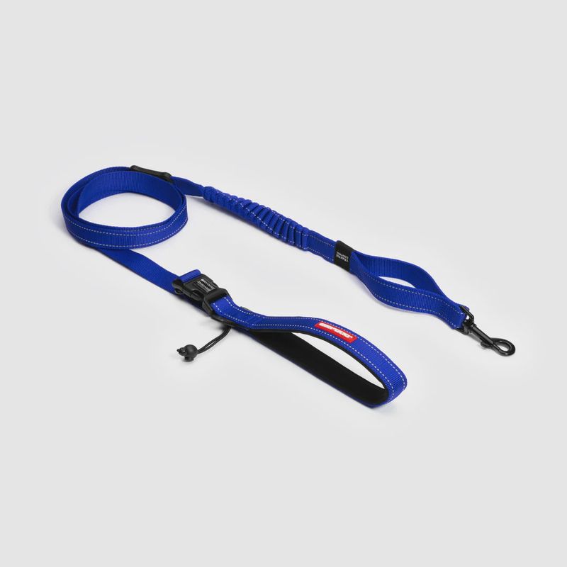 Ezy Dog Road Runner Leash