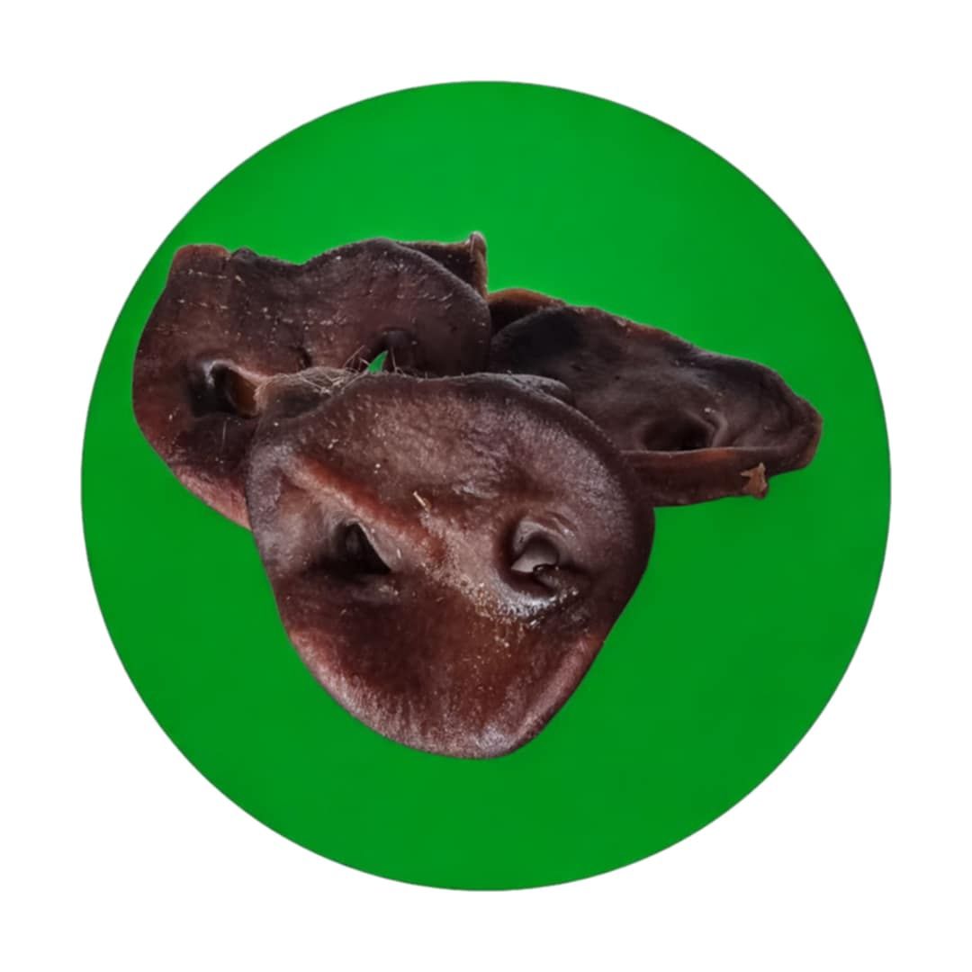 Pork Snouts, Size: Single