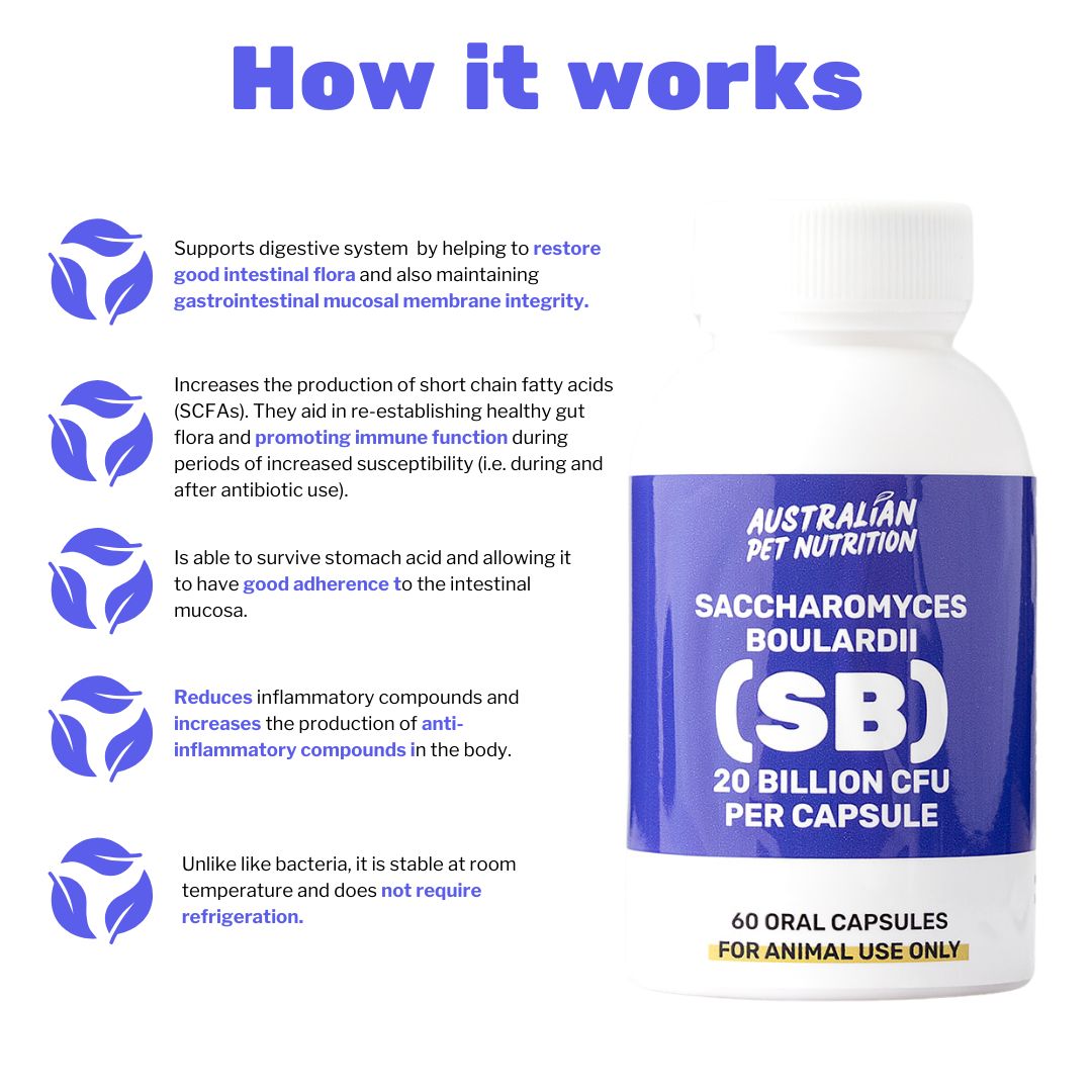 Canine Ceuticals Pure SB