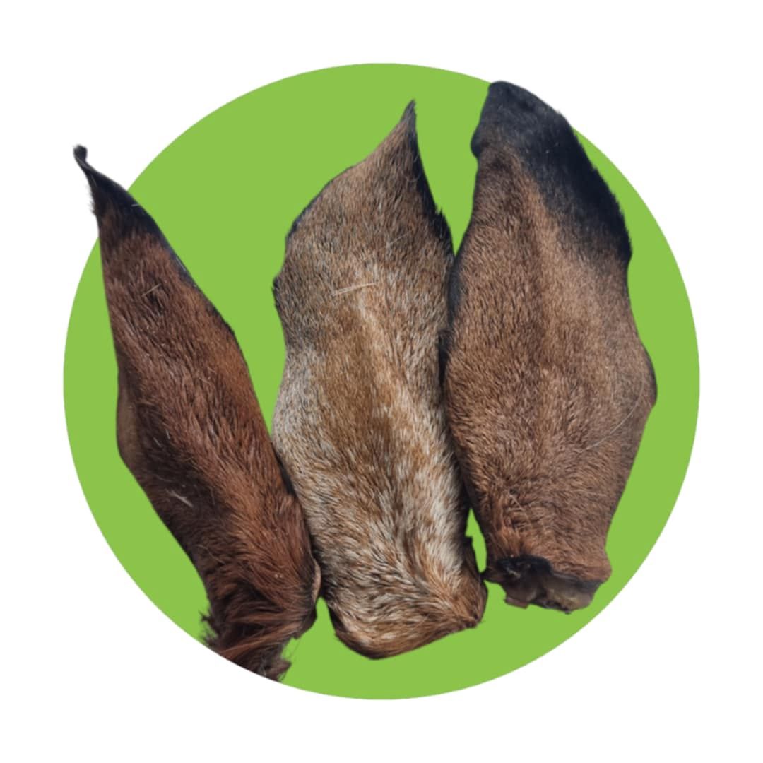 Woolly Goat Ears, Size: Single