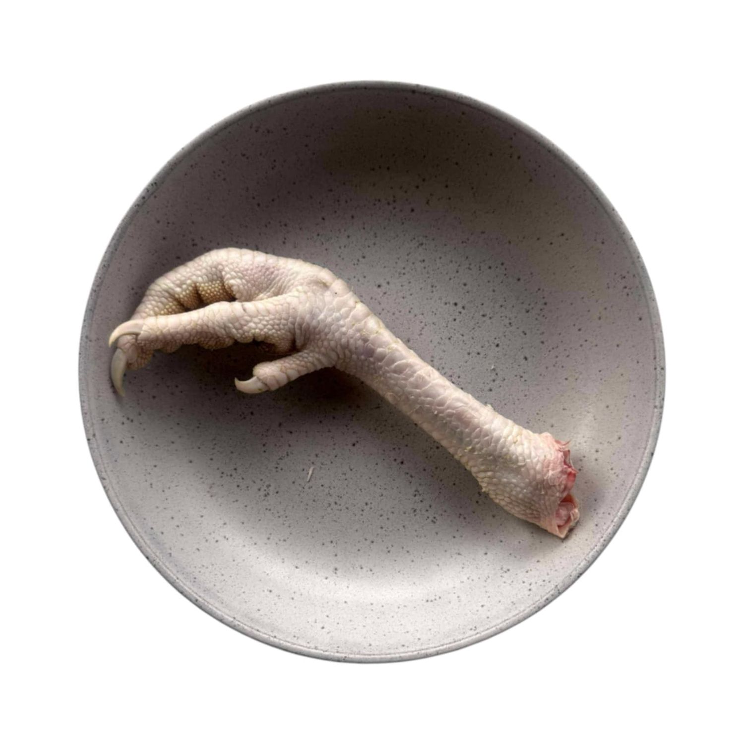 Turkey Feet - 5 pack