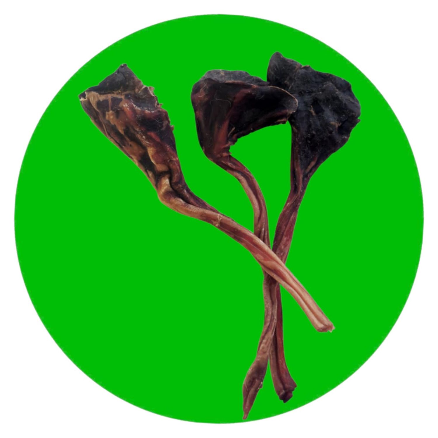 Roo Tendon, Size: Single